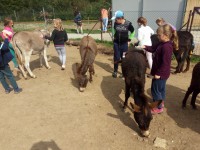 /album/fotogalerie-zoopark-na-hradecku-horni-pena/zooparknahradecku-80-jpg1/